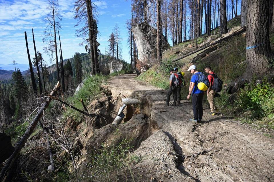 Journalists stop to look at the washed out road near the eastern, top edge of the Redwood Mountain Grove area of Kings Canyon National Park during a National Park Service tour on Thursday, Aug. 24, 2023 to view the high intensity burn area two years after the KNP Complex Fire devastated the grove in 2021.