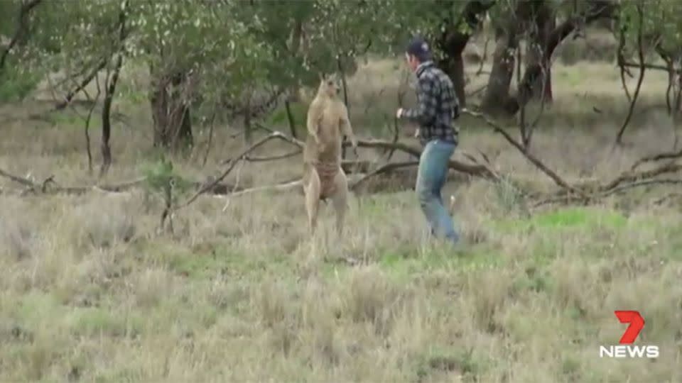 The zoo's response received a mixed reaction on Tuesday. Photo: 7 News.