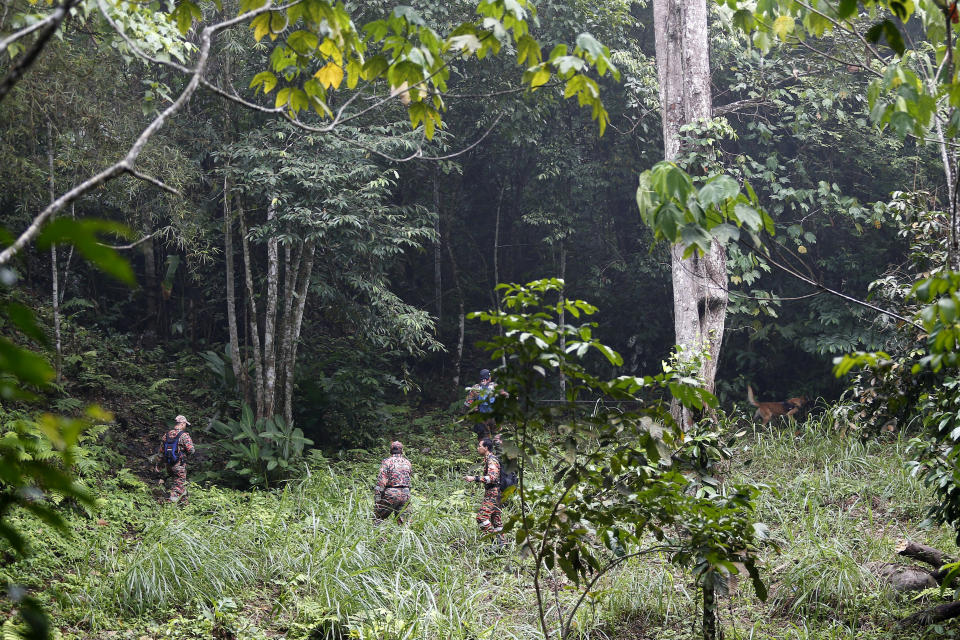 Members of a rescue team conduct a search and rescue operation for a missing British girl Nora Anne Quoirin, at a forest in Seremban, Negeri Sembilan, Malaysia, Saturday, Aug. 10, 2019. The parents of the 15-year-old London girl who disappeared from a Malaysian resort a week ago say she isn't independent and has difficulty walking, in new details to support their conviction that she was abducted. (AP Photo/Lai Seng Sin)