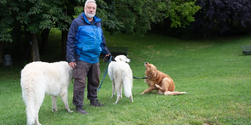 Hundebesitzer Wolfgang mit seinen drei Golden Retriever im Olympiapark.<span class="copyright">FOCUS online</span>