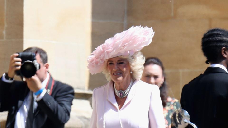 woman wearing pink coat dress at royal wedding 