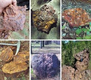 Photos of Fe-oxide rich, brecciated sediment boulders and outcrop (lower right) which occurs associated with high-magnetic zones in the sediments to the south and adjacent to the granite contact.