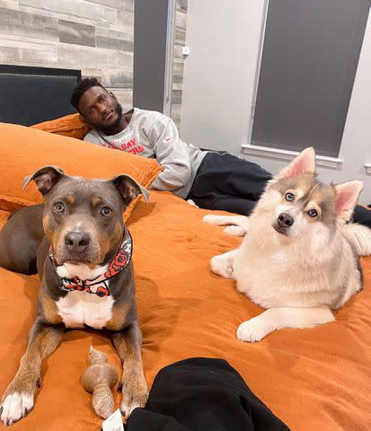 <p>Chris Godwin Instagram</p> Chris Godwin and his dogs, Ghost and Ziggy.