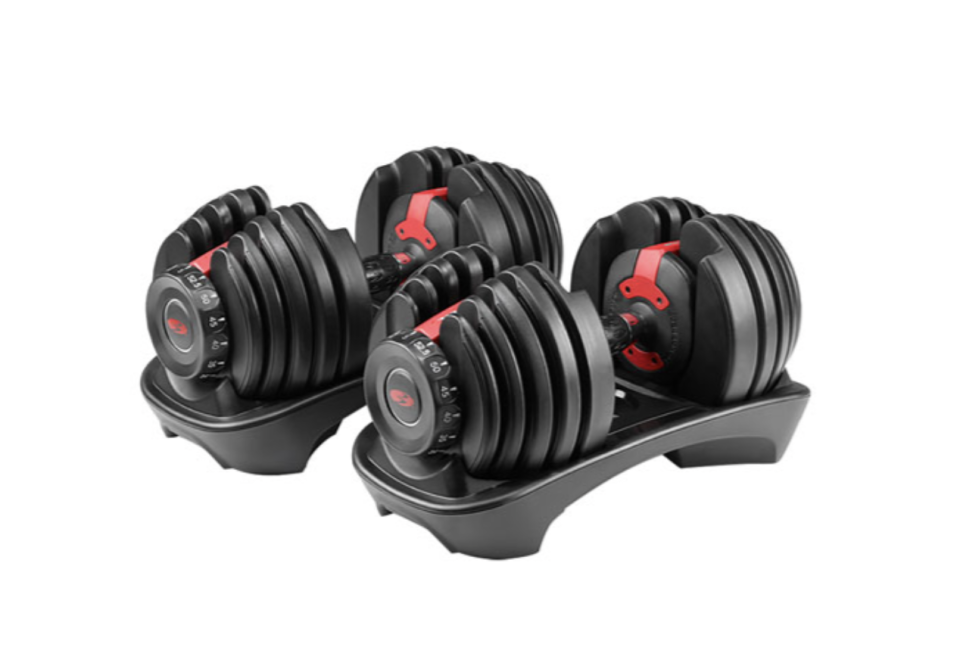 Bowflex SelectTech 552 Adjustable 5lb-52.5lb Dumbbells (Photo via Best Buy Canada)