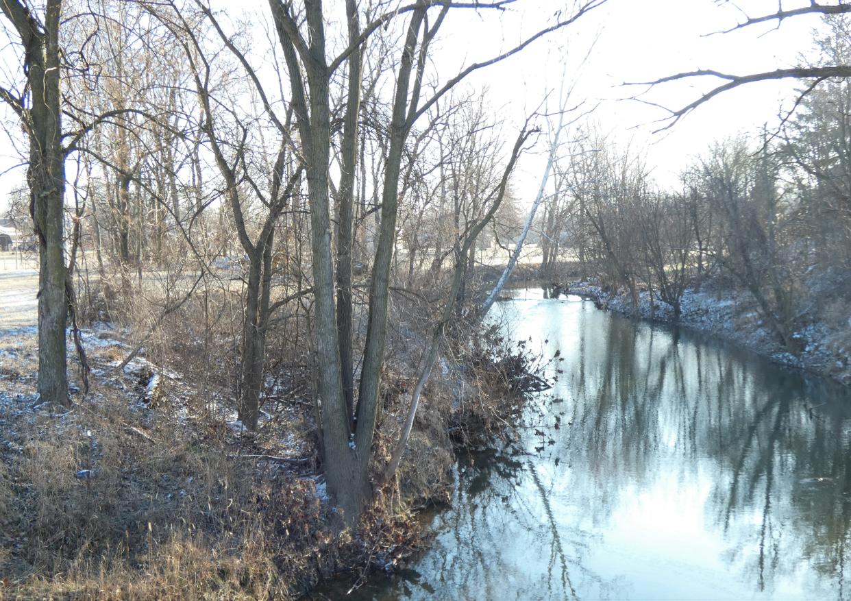 The Sandusky River flows adjacent to the site of Norton Bicentennial Park. Planners want to add native plants in an effort to both beautify the site and provide a natural barrier against flooding, Randy Fischer said.