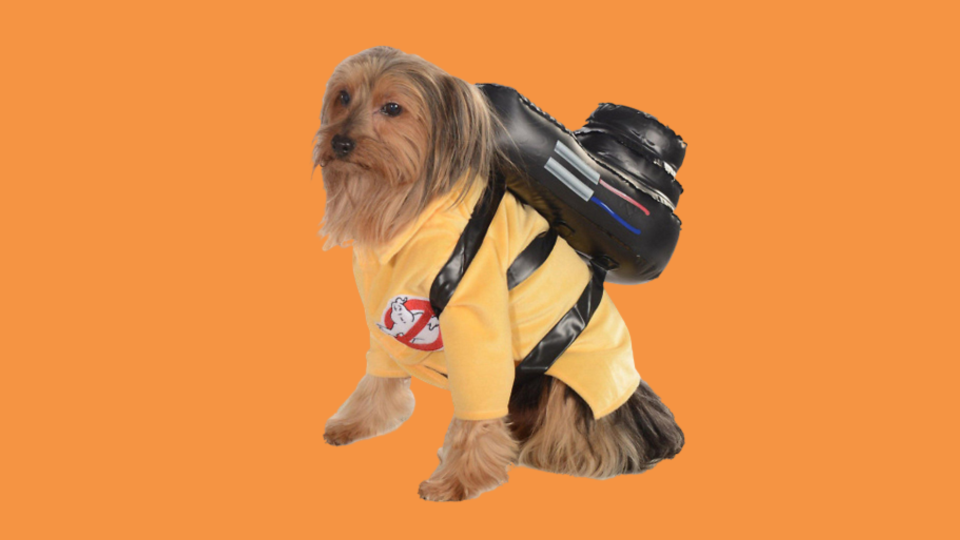 Popular Dog Costumes: Rubie's Costume Ghostbusters Dog & Cat Costume