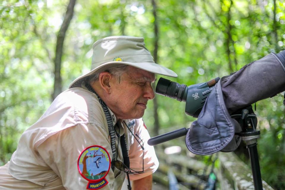 Brent Smith looks through a microscope at Audubon Corkscrew Swamp Sanctuary at ghost orchids up in the cypress trees.