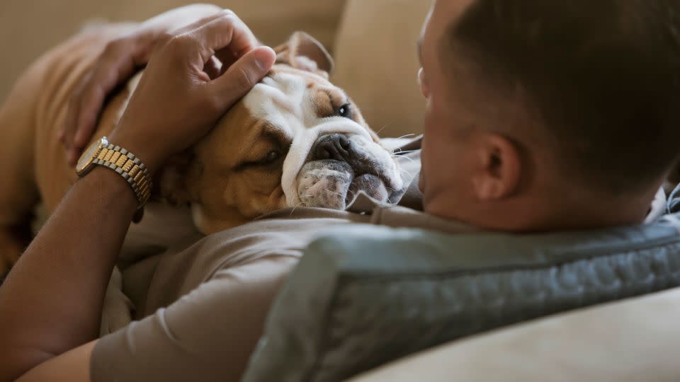 Spending time physically interacting with your pet can help reduce stress and anxiety. - John Fedele/Tetra images RF/Getty Images