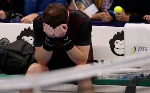 Andy Murray of Britain reacts after winning the European Open final tennis match in Antwerp, Belgium - Credit: Francisco Seco/AP