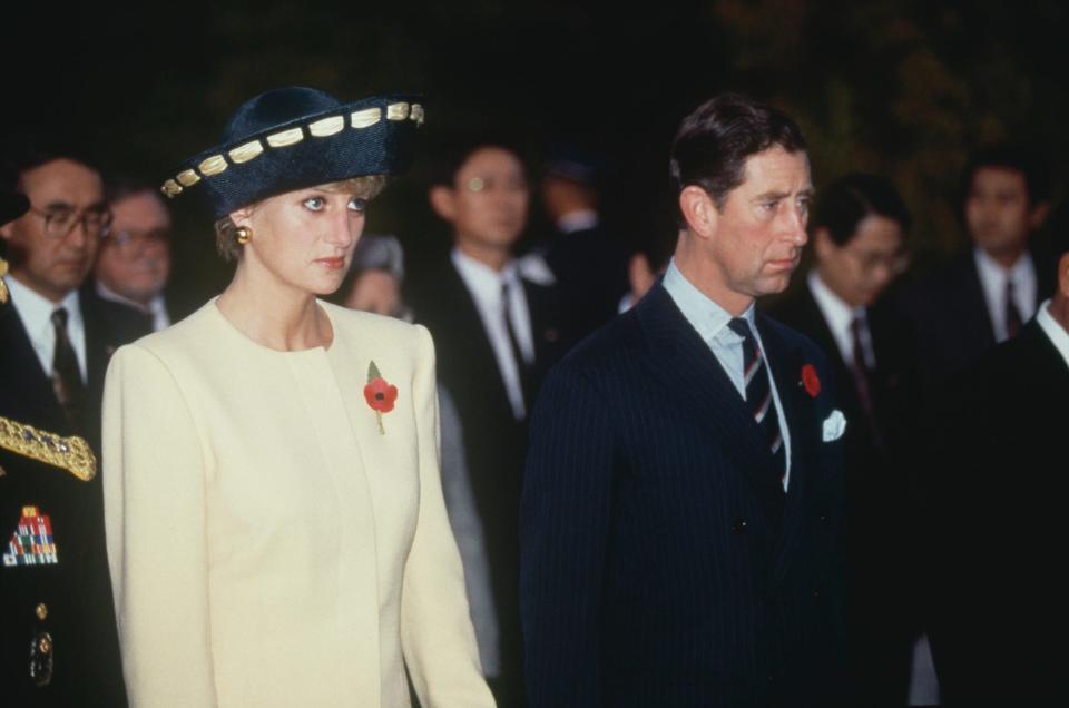 diana and charles south korea 1992