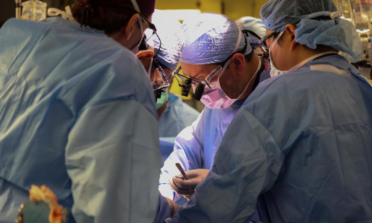 <span>Surgeons perform the world’s first genetically modified pig kidney transplant into a living human at Massachusetts general hospital on 16 March in Boston.</span><span>Photograph: Michelle Rose/AP</span>