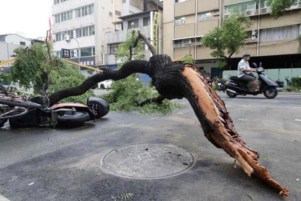 颱風山陀兒昨天（10/3）登陸，強風豪雨襲擊高雄約10小時，強風吹落鐵皮、圍籬、招牌，路樹傾倒或斷枝橫躺道路，民眾今日加緊清理。美聯社