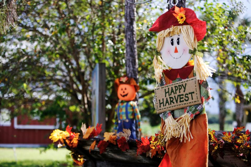 A view of the fall display in front of Bedner's Farm Fresh Market.