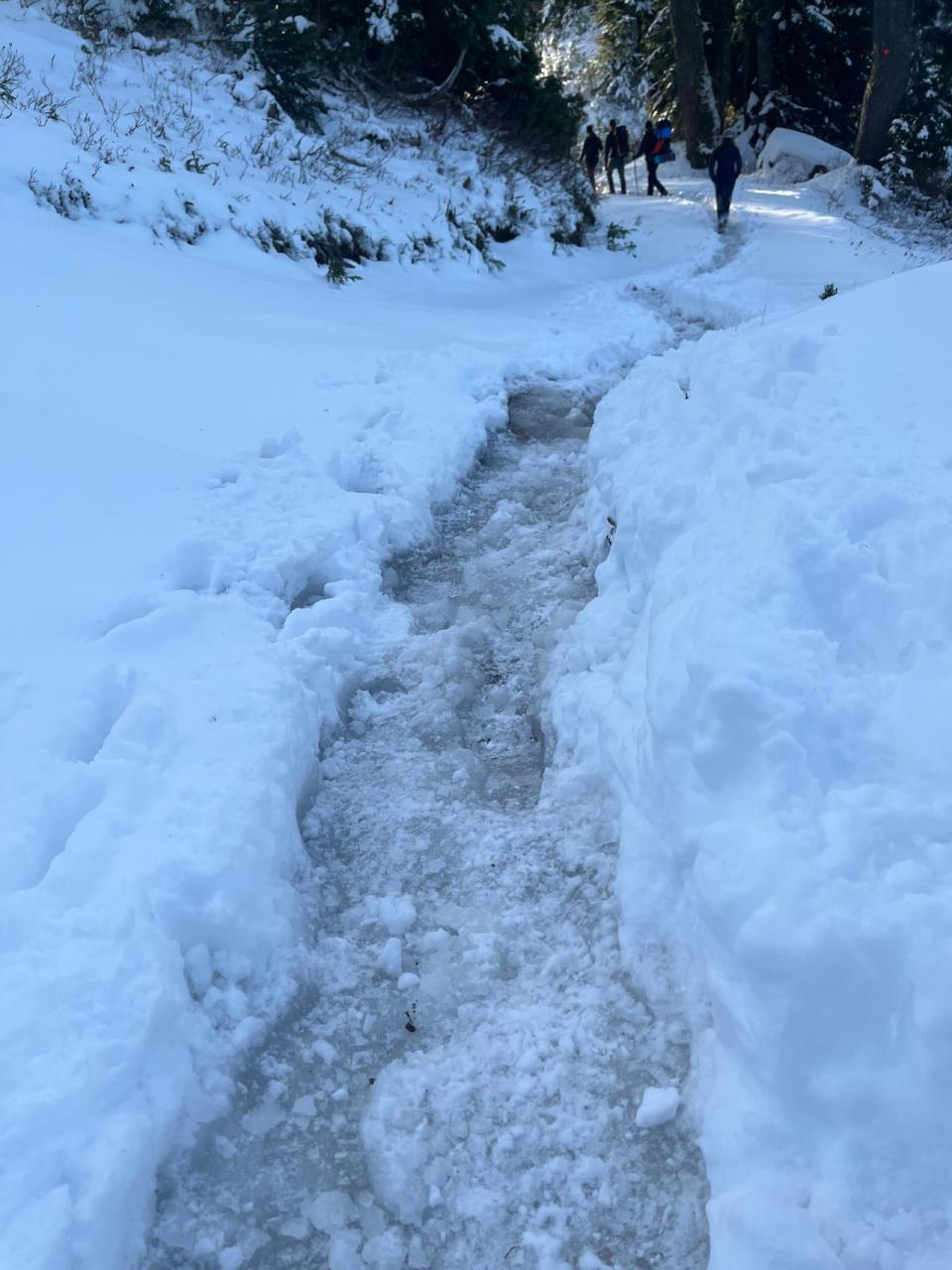 North Shore Rescue helped a man down from the first peak of Mt. Seymour on Oct. 26, 2023, their second rescue call that night.