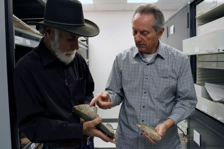 Retired Retired San Diego Natural History Museum Paleontologist Richard Cerutti (L) and Curator of Paleontology and Director of PaleoServices, Dr.Tom DemŽrŽ compare mastodon bones salvaged at the Cerutti Mastodon site in San Diego County, California, U.S., in this handout photo received April 26, 2017. San Diego Natural History Museum/Handout via REUTERS