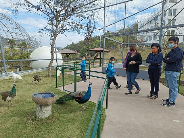 九九峰動物樂園31