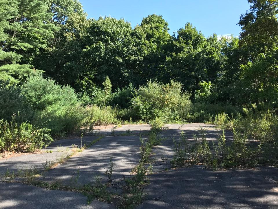 Taunton dropped a plan in 2022 to develop this wooded area near the Leonard School after intense pushback from neighbors.