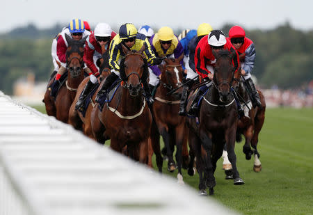 Horse Racing - Royal Ascot - Ascot Racecourse, Ascot, Britain - June 19, 2018 General view during the 5.00 Ascot Stakes REUTERS/Paul Childs