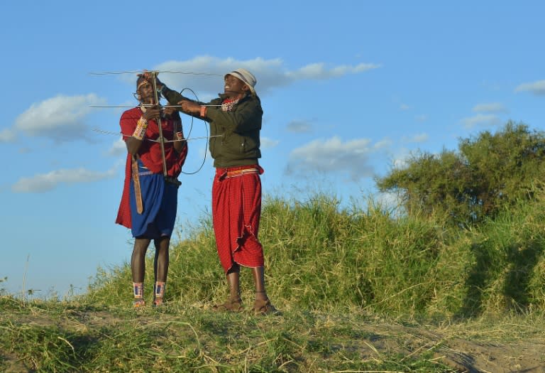 Kenyan Maasai 'Morans' (warriors) assemble a radio antenna to scan for a signal from a radio-collar fitted lioness in order to establish her pride's location in the surrounding scrub, at the Selenkay Reserve in Kenya