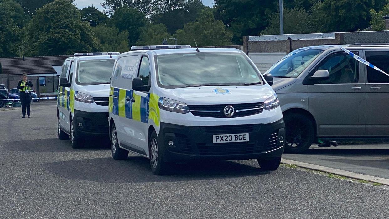 Police cars at the scene at Whernside around the time of the incident