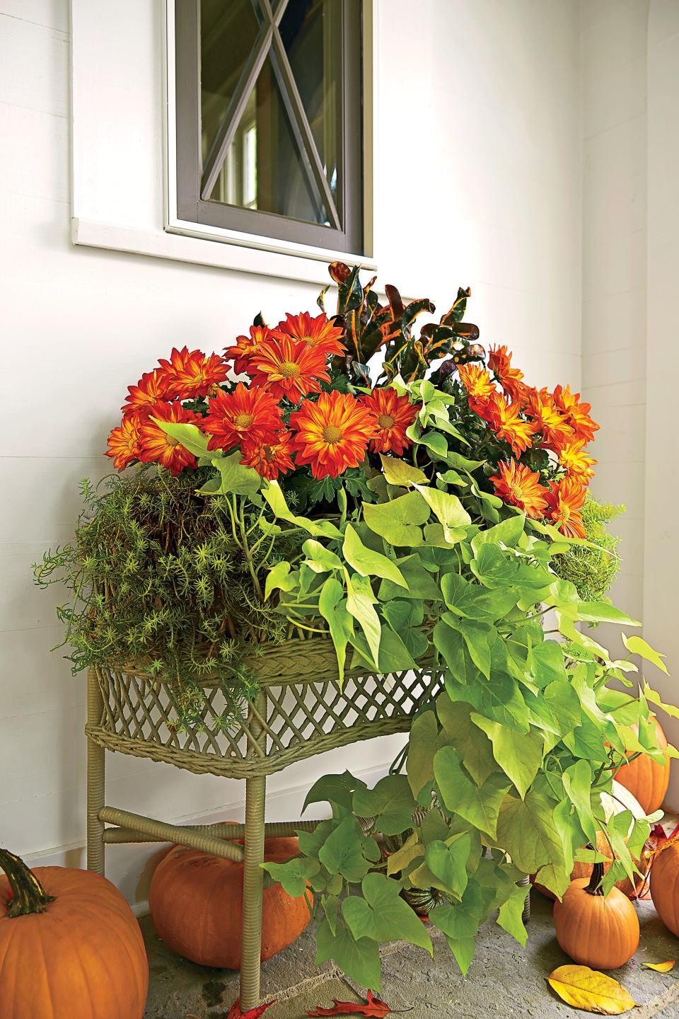 Versatile Fall Container