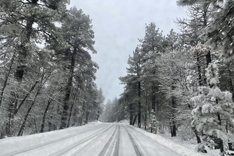 Laguna Mountain a 1 hora de la garita de San Ysidro se llena de nieve