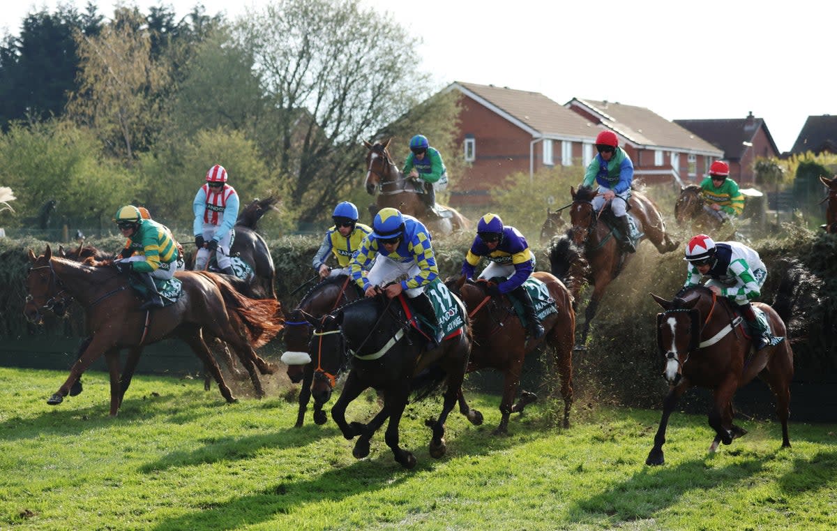 The field size and height of one of the fences have been reduced to help make this year’s Grand National safer  (REUTERS)