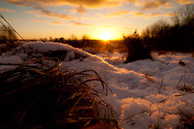 Thawing Hoar Frost, Hoohill