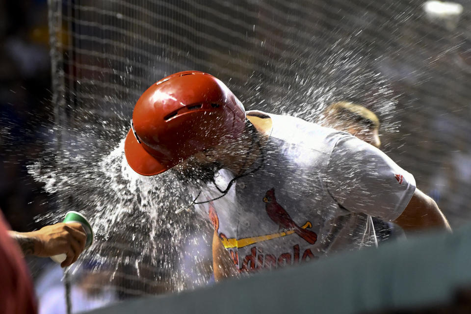 St. Louis Cardinals' Matt Carpenter is doused with water in the dugout after he hit a home run against the Chicago Cubs during the 10th inning of a baseball game Thursday, Sept. 19, 2019, in Chicago. (AP Photo/Matt Marton)