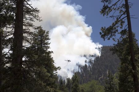 A firefighting helicopter drops water near Camp Bravo summer camp as firefighters battle the Lake Fire in the San Bernardino National Forest, California June 19, 2015. REUTERS/David McNew