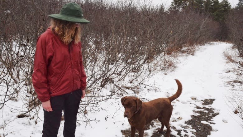 Literal trailblazing: Woman builds new trail to deter illegal dumping