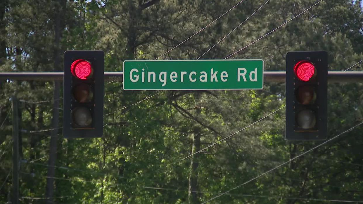 <div>A high-speed chase ended along Georgia Highway 92 North at Ginger Cake Road on April 23, 2024.</div> <strong>(FOX 5)</strong>