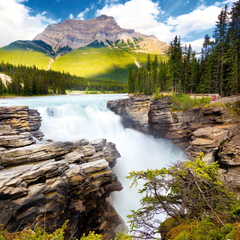 Cascadas de Athabasca en verano, entre el Lago Louise y Jasper, Canadá