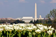 <b>United States Capitol, USA</b><br><br> Das Geheimnis liegt tief unter der Erde: Im dritten Kellergeschoss des Kapitols soll eine Bunkeranlage schlummern. Seit dem Bau des Visitor Center 2008 rankt sich diese Legende um das Parlamentsgebäude. Drei bis fünf Millionen Besucher zieht das Kapitol jährlich an – in diesem Getümmel kann man sicher einen Blick auf den Bunker erhaschen und sich eventuell schon einmal ein Plätzchen für den 21.12.2012 sichern. Eine anderer Ansatz wäre, schnell noch Kongressabgeordneter zu werden, aber dafür müssen Sie amerikanischer Staatsbürger werden und sich bei Ihrer Politikerkarriere ziemlich beeilen. (Foto: Getty Images)