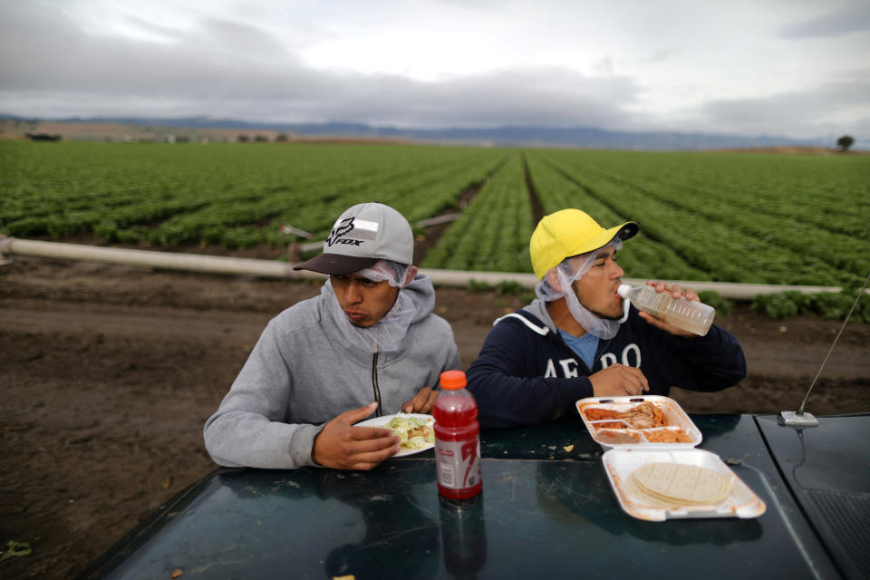 Trabajadores del campo durante un receso. Reuters.