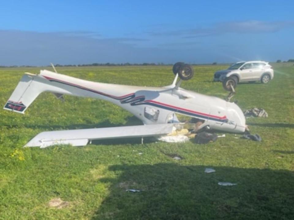 light plane crashed after hitting horse on take off