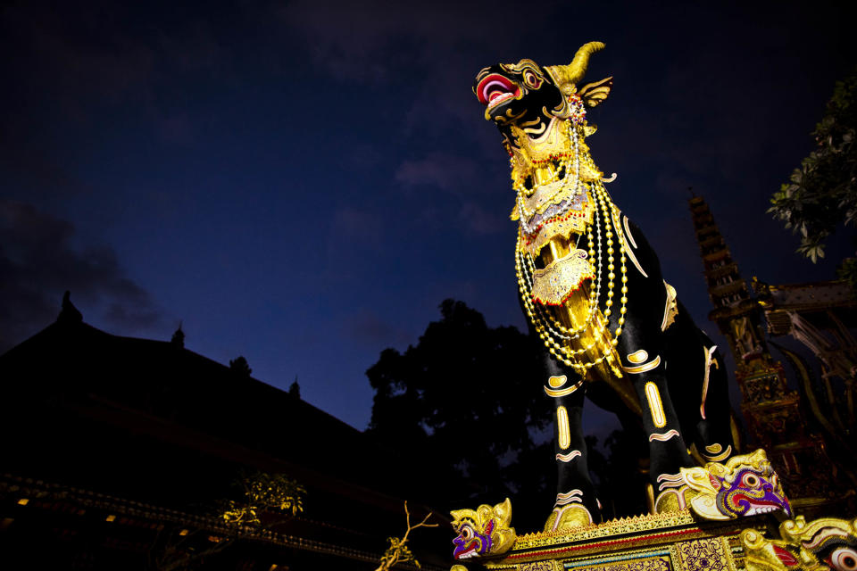 UBUD, BALI, INDONESIA - AUGUST 17: A black bull sarcophagus stands at Puri Ubud during the Hindu Royal cremation - also know as the Pengabenan - for the late Anak Agung Niang Rai, mother of Gianyar Regent, Tjokorda Oka Artha Ardana Sukawati, at Puri Ubud in Gianyar Bali on August 17, 2011 in Ubud, Bali, Indonesia. Niang Rai died in a Denpasar hospital in May; her actual cremation will take place on August 18 and will involve a nine level, 24m high 'bade' or body carring tower, made by upto 100 volunteers from 14 local villages. It will be carried to the cremation by 4500 Ubud residents. (Photo by Ulet Ifansasti/Getty Images)