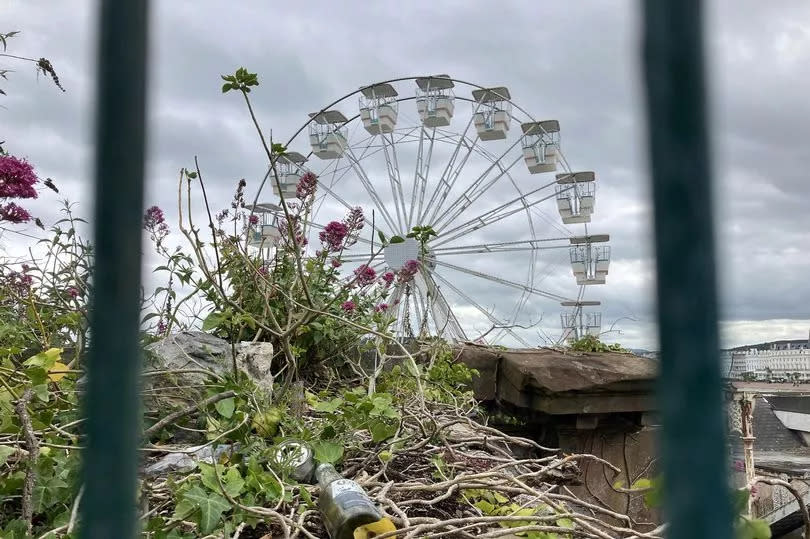 Glass and plastic bottles discarded in vegetation near Llandudno Pier's ferris wheel