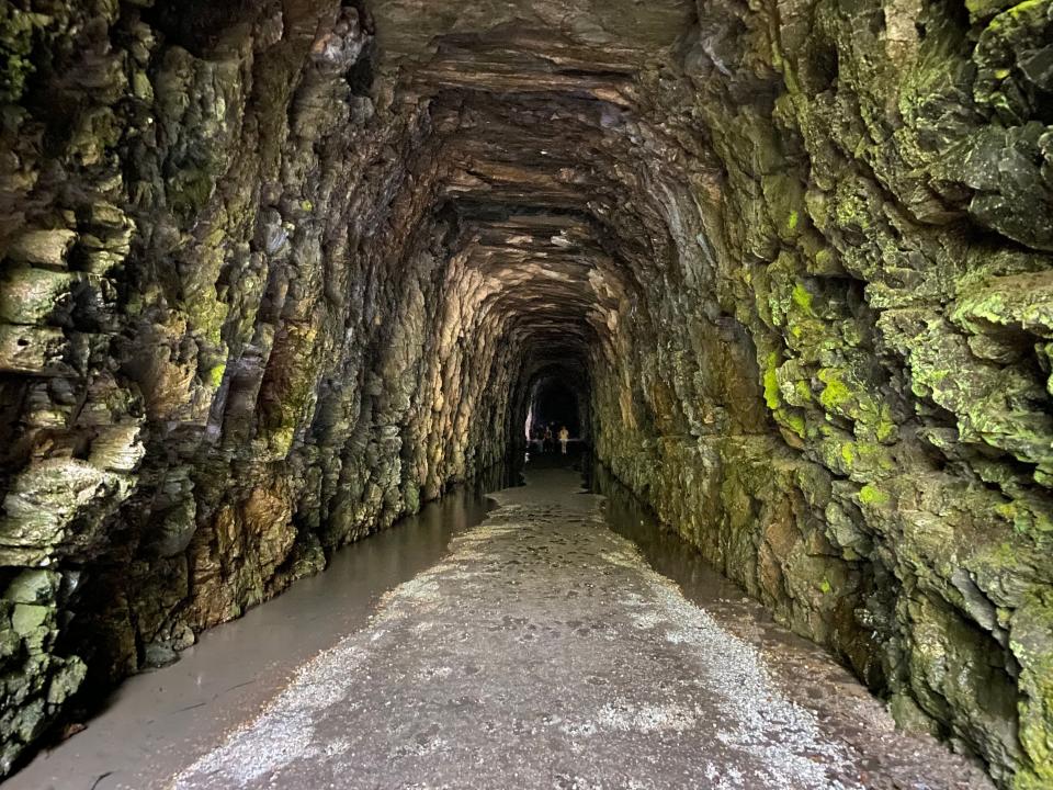 The Stumphouse tunnel is 25 feet high, 17 feet wide and extends just over 1,600 feet into the mountain.