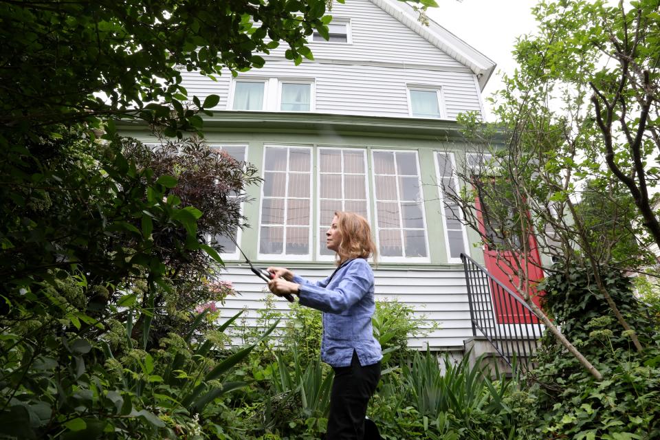 Susan Cooper, a painter and an art therapist who earns about $50,000 a year, prunes bushes at home in Hastings-on-Hudson June 20, 2023. State legislation passed last year giving taxing jurisdictions the ability to raise the limit for the senior citizen exemption from the high $30,000s to the mid-$50,000s. Most of Greenburgh's 10 school districts have done so. Hastings-on-Hudson has not, and Cooper can't get a call back from school officials.