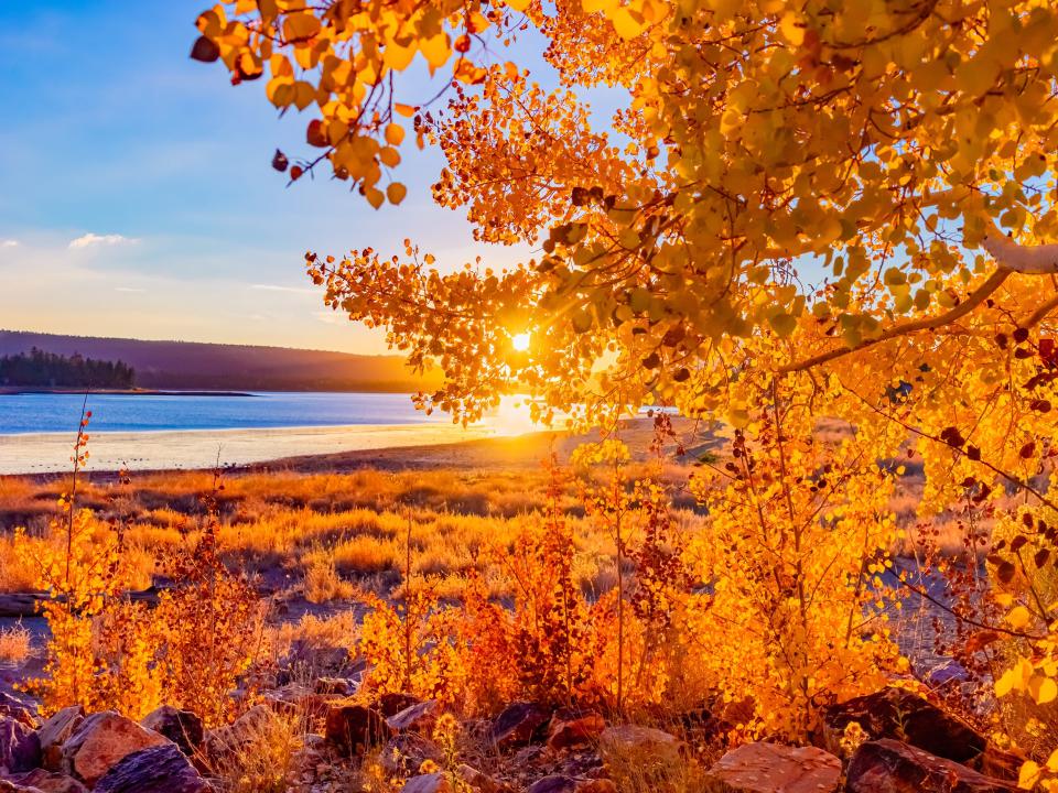 The shore of Big Bear Lake in Southern California.