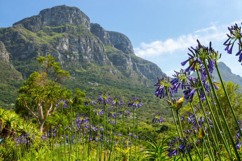These are the most Instagrammed botanical gardens in the world