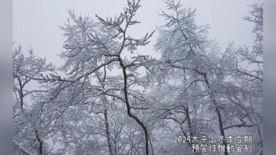 園方為因應降雪與遊客安全，將啟動機動管制措施。（圖／翻攝自太平山國家森林遊樂區臉書）