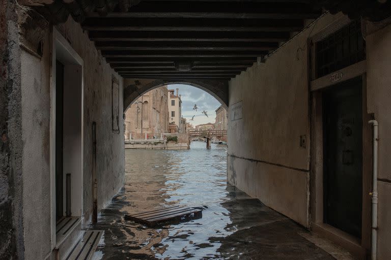 Impacto climático y turismo en masa: Venecia, ¿patrimonio mundial en peligro?