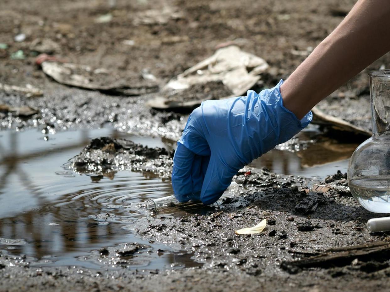 A person takes a sample of water for testing. <a href="https://www.shutterstock.com/es/image-photo/sample-water-pool-hand-tube-collects-439862659" rel="nofollow noopener" target="_blank" data-ylk="slk:Irina Kozorog / Shutterstock;elm:context_link;itc:0;sec:content-canvas" class="link ">Irina Kozorog / Shutterstock</a>