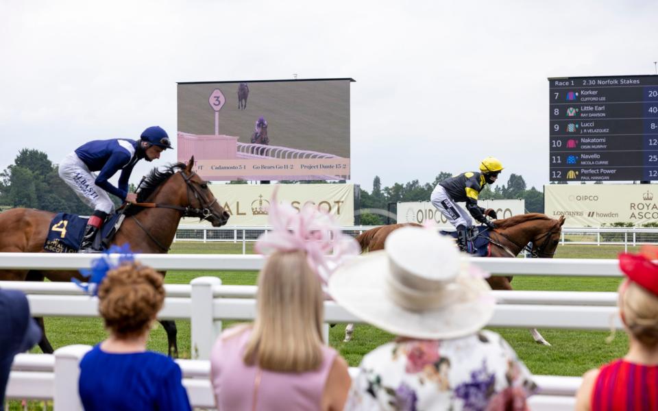 This year’s slimmed-down version of Royal Ascot seems a far more relaxed affair - Heathcliff O'Malley for The Telegraph