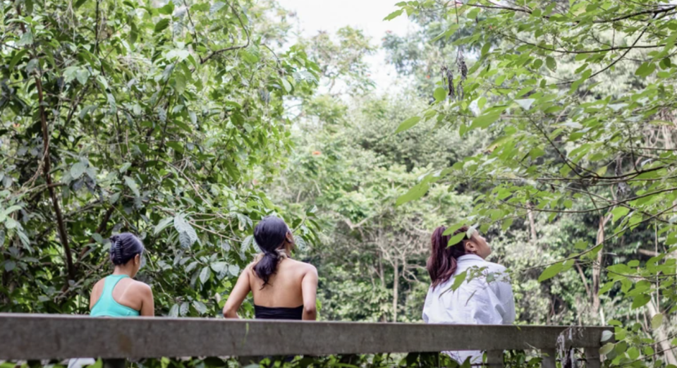 Forest Bathing & High Tea: An Afternoon of Private Indulgence. PHOTO: Klook