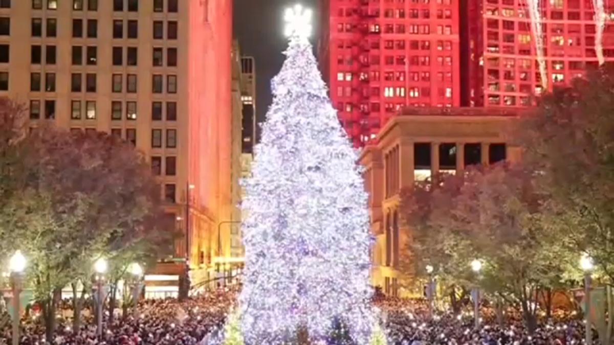 Chicago in search of 'perfect tree' to city's official Christmas