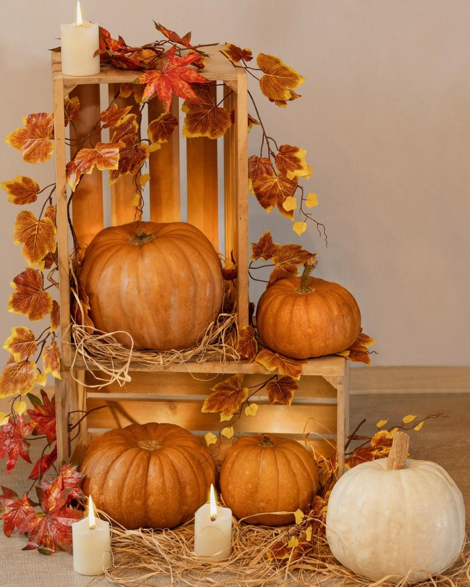 beautiful pumpkins in the garden shop