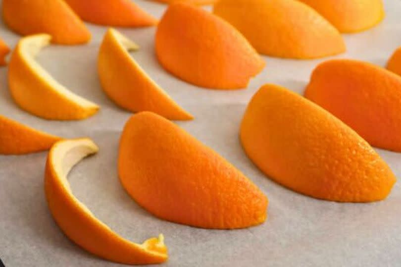 Picture of orange peels on a baking trap